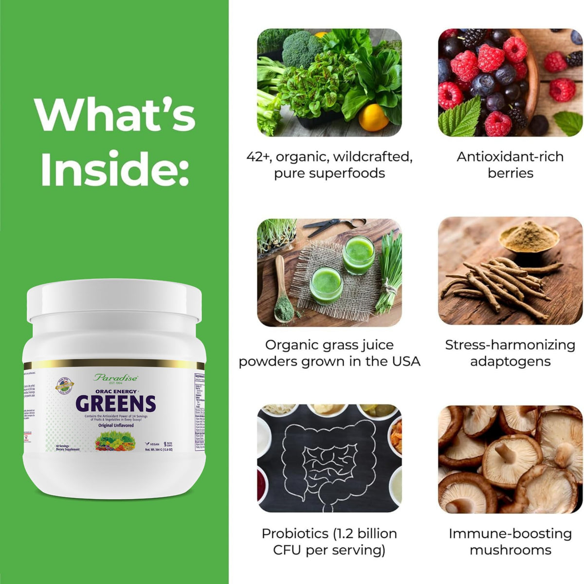 Poudre Energy Greens Paradise Herbs 472g en préparation dans un smoothie