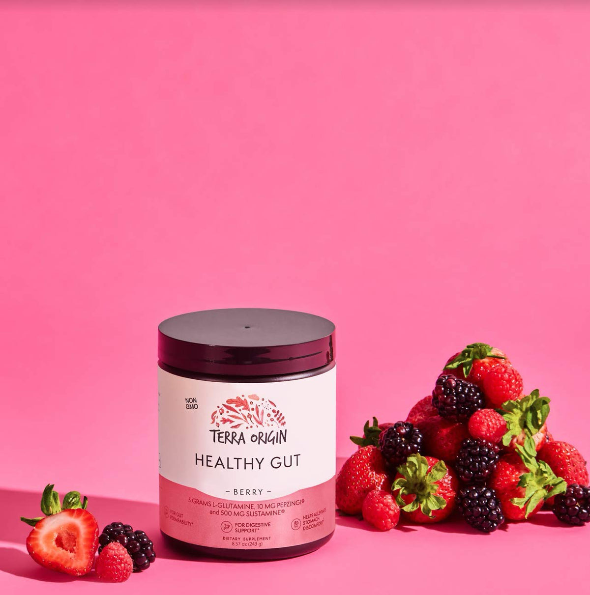 Poudre Healthy Gut de TERRA ORIGIN avec cuillère doseuse