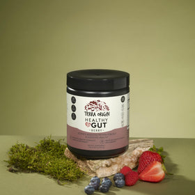 Poudre Healthy Gut de TERRA ORIGIN ingrédients principaux