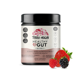 Poudre Healthy Gut de TERRA ORIGIN saveur baie vue avant
