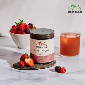 Poudre Healthy Gut de TERRA ORIGIN vue de côté