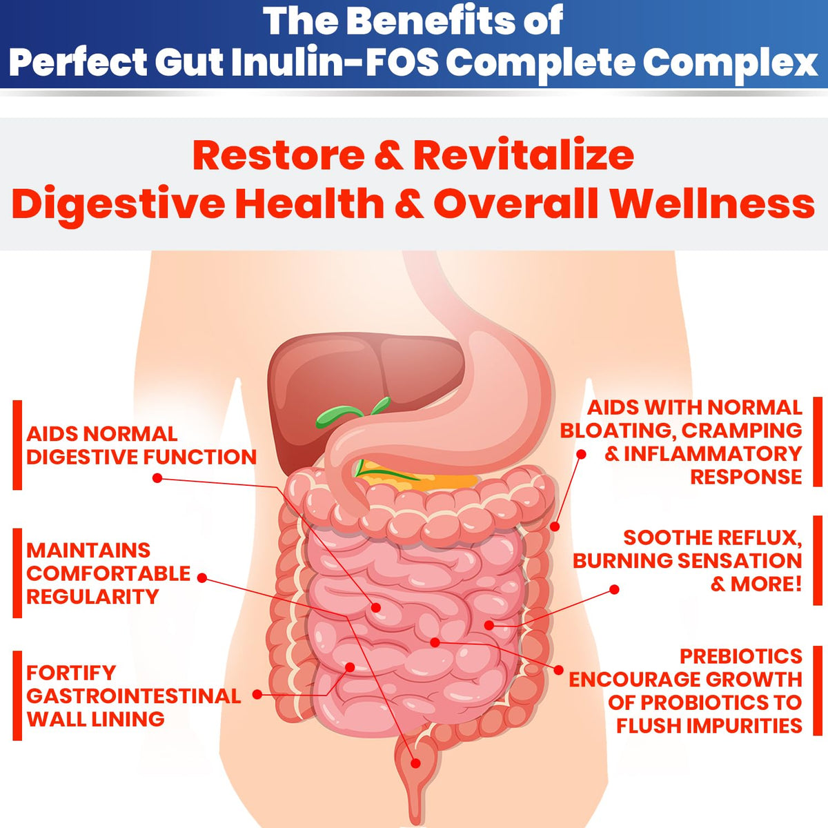 Poudre Inuline FOS Perfect Gut ajoutée à un smoothie