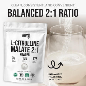 Poudre L-Citrulline Malate WHYZ dans un shaker