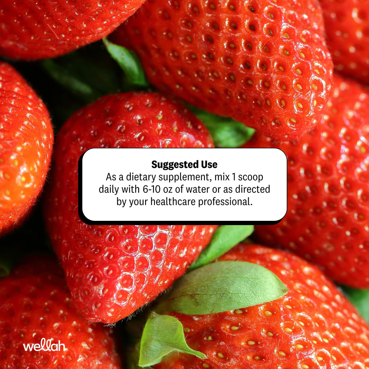 Poudre L-Glutamine Wellah dans un shaker