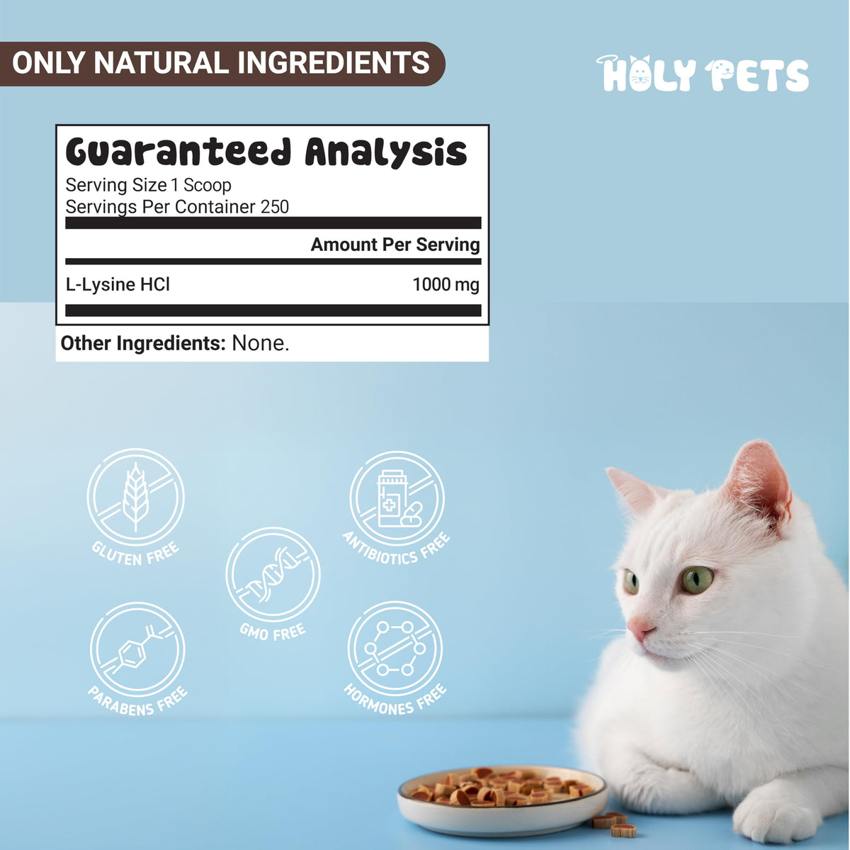 Poudre L-Lysine Holy Pets avec des accessoires pour chats