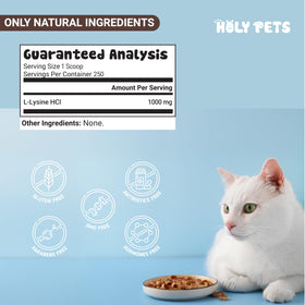 Poudre L-Lysine Holy Pets avec des accessoires pour chats