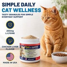Poudre L-Lysine pour chats sur une cuillère en bois