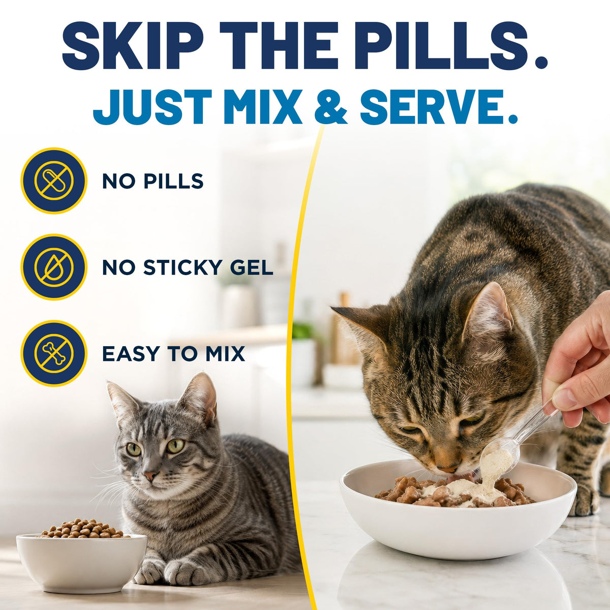 Poudre L-Lysine pour chats vue de dessus