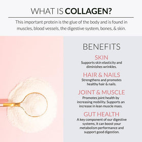 Poudre multi-collagène Alaya Naturals vue de dessus avec cuillère