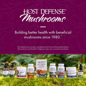 Poudre MycoBotanicals à côté d'autres compléments alimentaires
