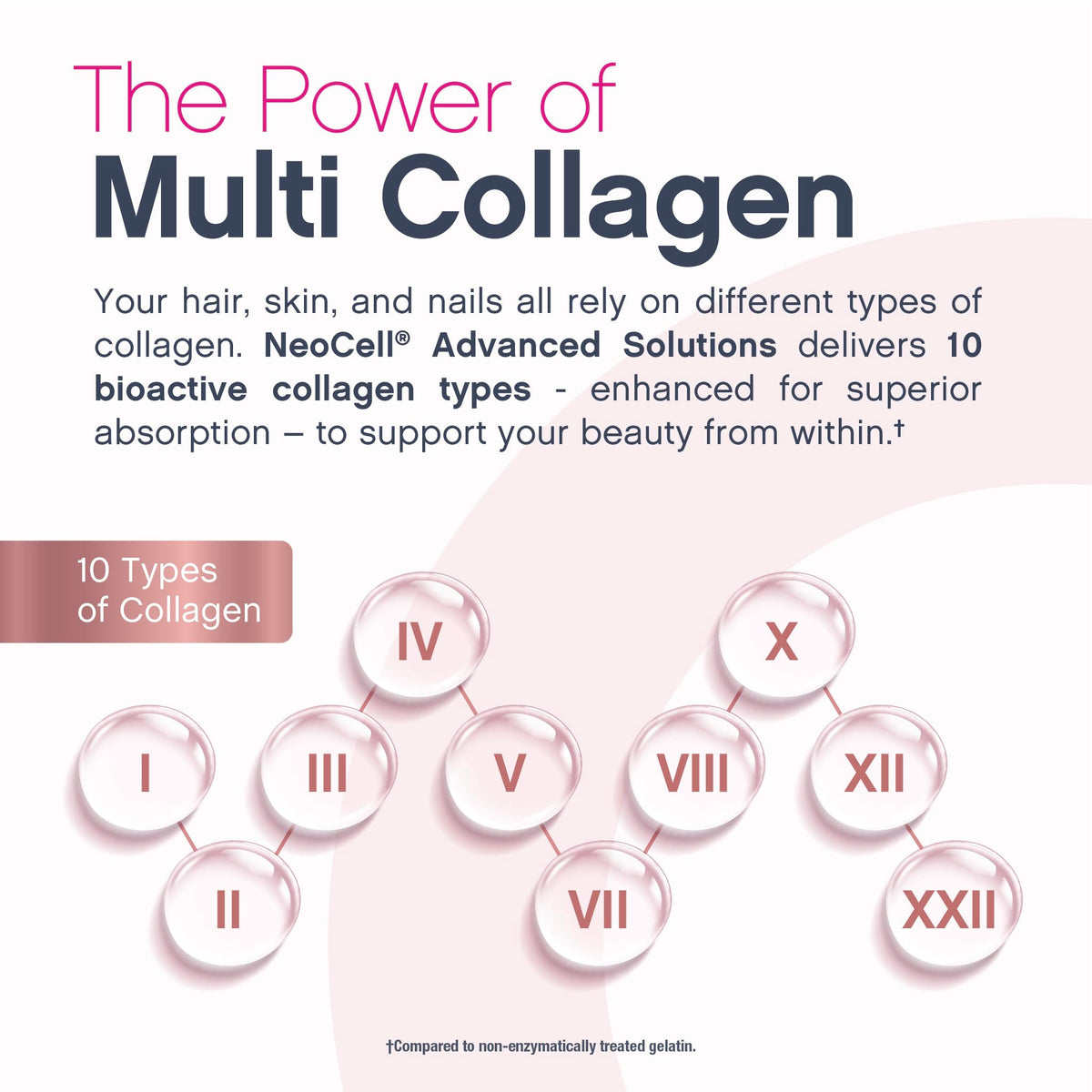Poudre NeoCell Multi Collagène 272g sur une cuillère