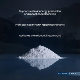 Poudre NMN Renue By Science dans un environnement de santé
