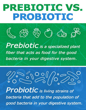 Poudre Prebiotin avec des fruits frais