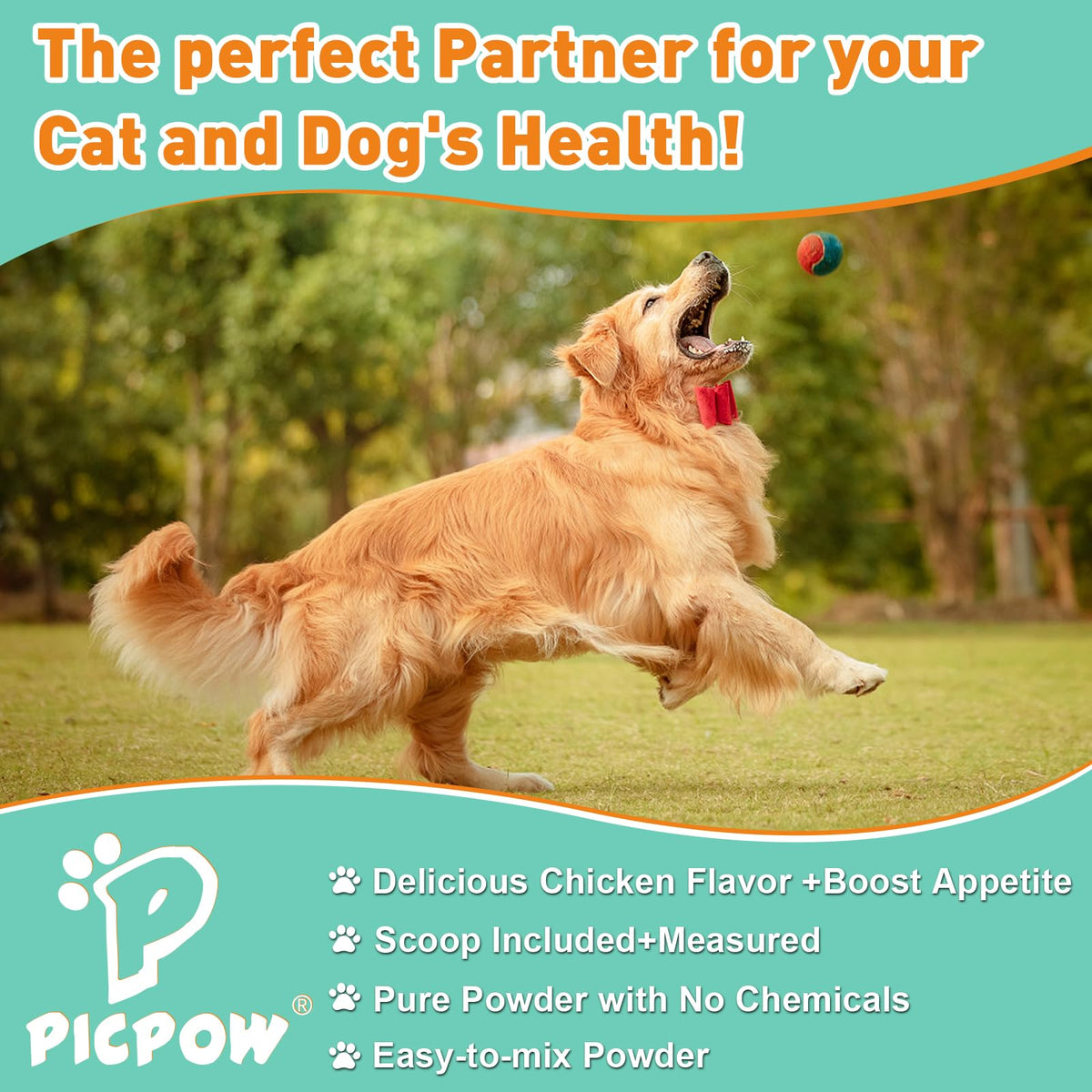 Poudre Probiotique PICPOW 240g avec des ingrédients sur une table