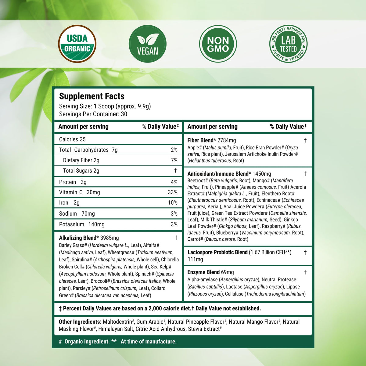 Poudre Super Greens dans un bol avec des ingrédients