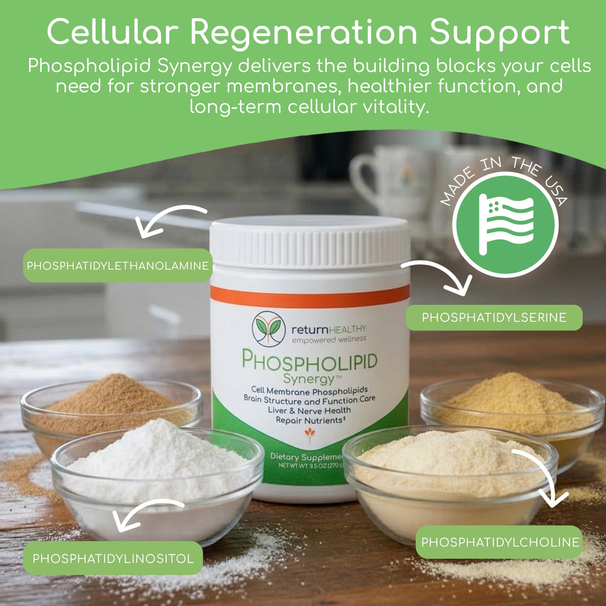 Poudre Synergie Phospholipides Return Healthy 270 g avec cuillère