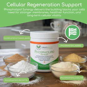 Poudre Synergie Phospholipides Return Healthy 270 g avec cuillère