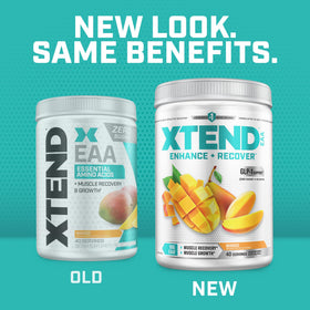 Poudre Xtend EAA + BCAA 408g avec saveur fruitée
