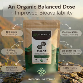Poudres de champignon Chaga bio en mélange avec d'autres ingrédients