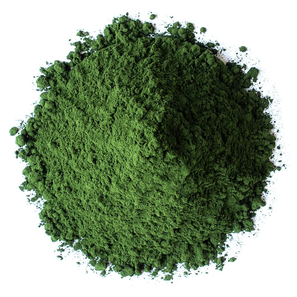Poudres de Chlorelle Biologique Food to Live avec cuillère