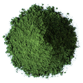 Poudres de Chlorelle Biologique Food to Live avec cuillère