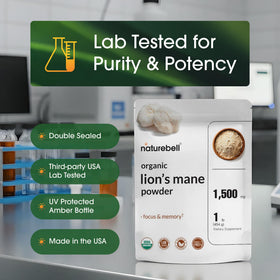 Poudrier NatureBell avec poudre de Lion's Mane à côté d'ingrédients