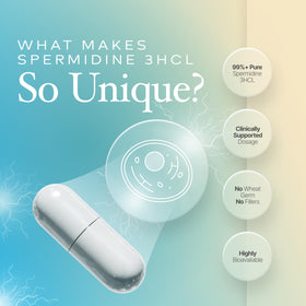 Powders Capsules de Spermidine 99% Pure dans leur emballage