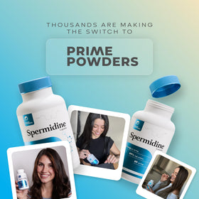 Powders Capsules de Spermidine 99% Pure ouverte montrant la capsule