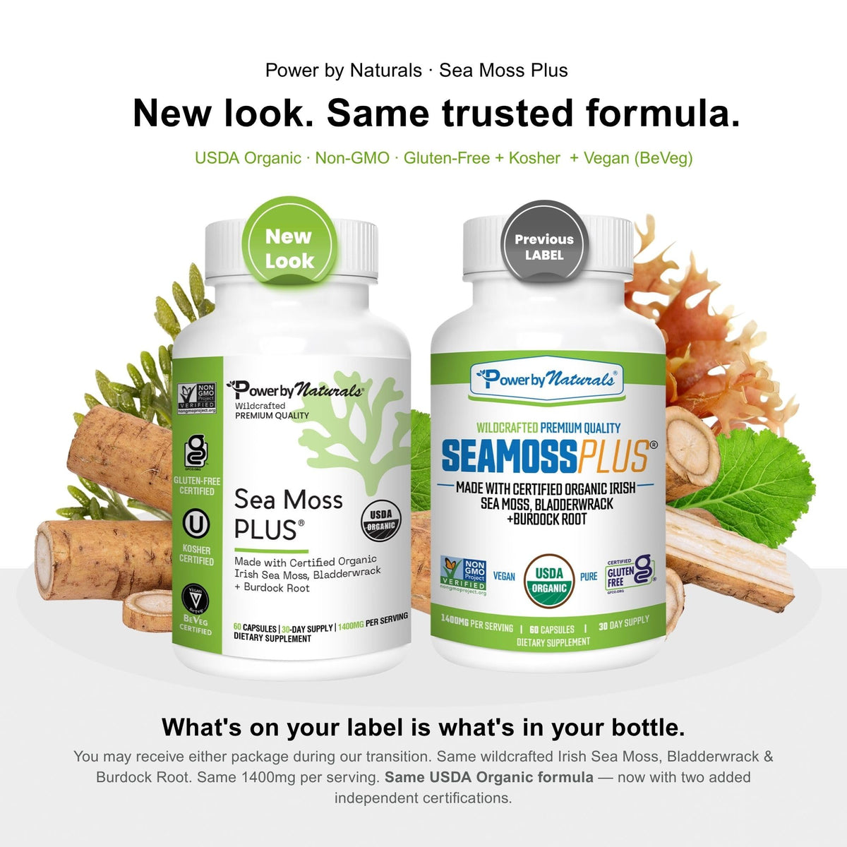 Power By Naturals Mousse de Mer Irlandais Bio capsules ouvertes avec poudre