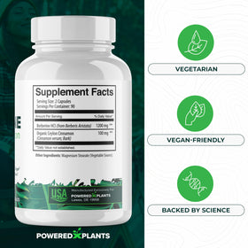 POWERED X PLANTS Complément Alimentaire Berbérine 1300mg avec cannelle de Ceylan