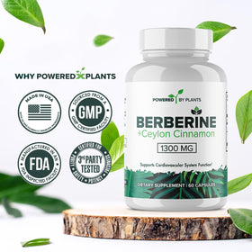 POWERED X PLANTS Complément Alimentaire Berbérine 1300mg en utilisation quotidienne