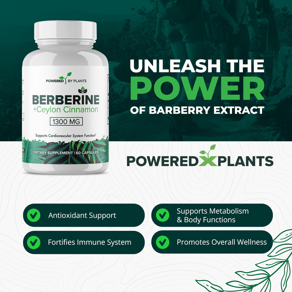 POWERED X PLANTS Complément Alimentaire Berbérine 1300mg paquet arrière