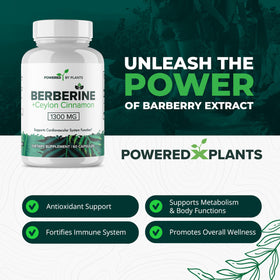 POWERED X PLANTS Complément Alimentaire Berbérine 1300mg paquet arrière