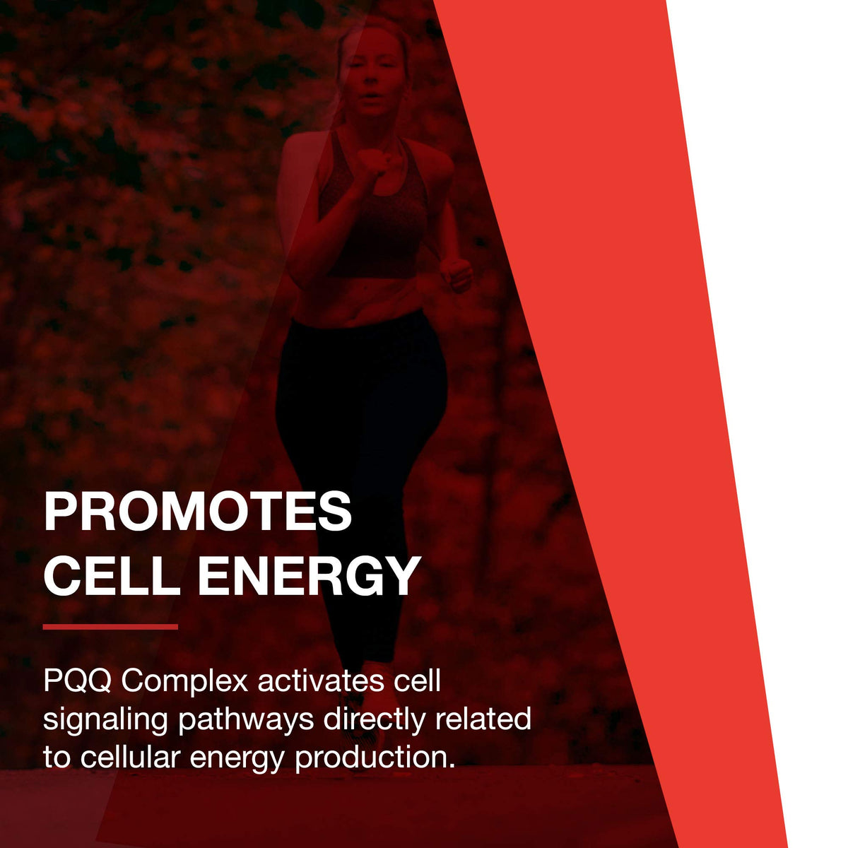 PQQ Complex PROTOCOL FOR LIFE BALANCE sur une table en bois