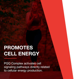 PQQ Complex PROTOCOL FOR LIFE BALANCE sur une table en bois