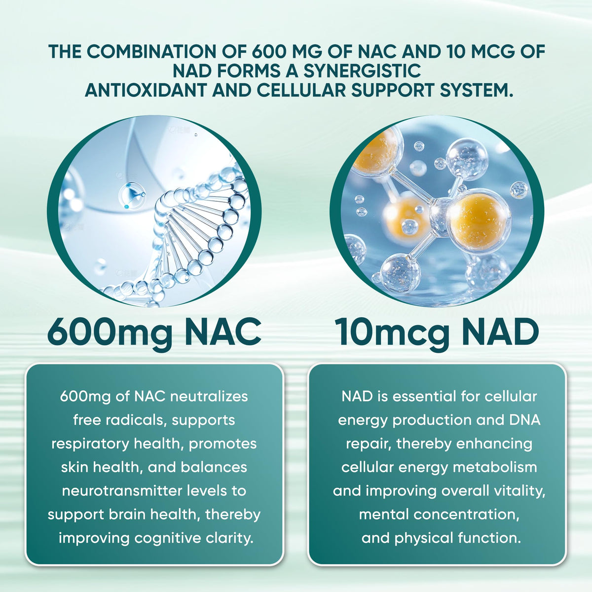 PRCYZO NAC 600mg avec NAD+ illustration des ingrédients