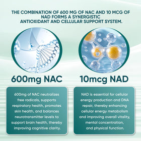 PRCYZO NAC 600mg avec NAD+ illustration des ingrédients