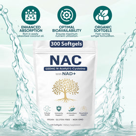PRCYZO NAC 600mg capsules végétariennes ouvertes