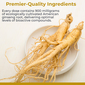 Premier Research Labs Ginseng Américain Capsules - vue de côté