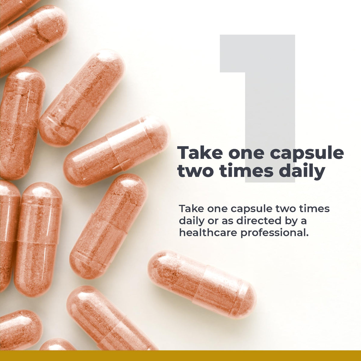 Premier Research Labs NAC 300mg boîte arrière vue