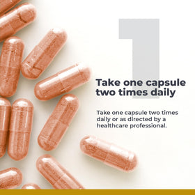Premier Research Labs NAC 300mg boîte arrière vue