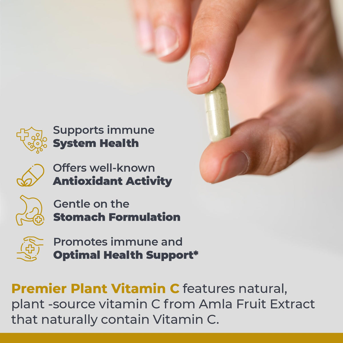 Premier Research Labs Vitamine C avec extrait d'Amla et églantier