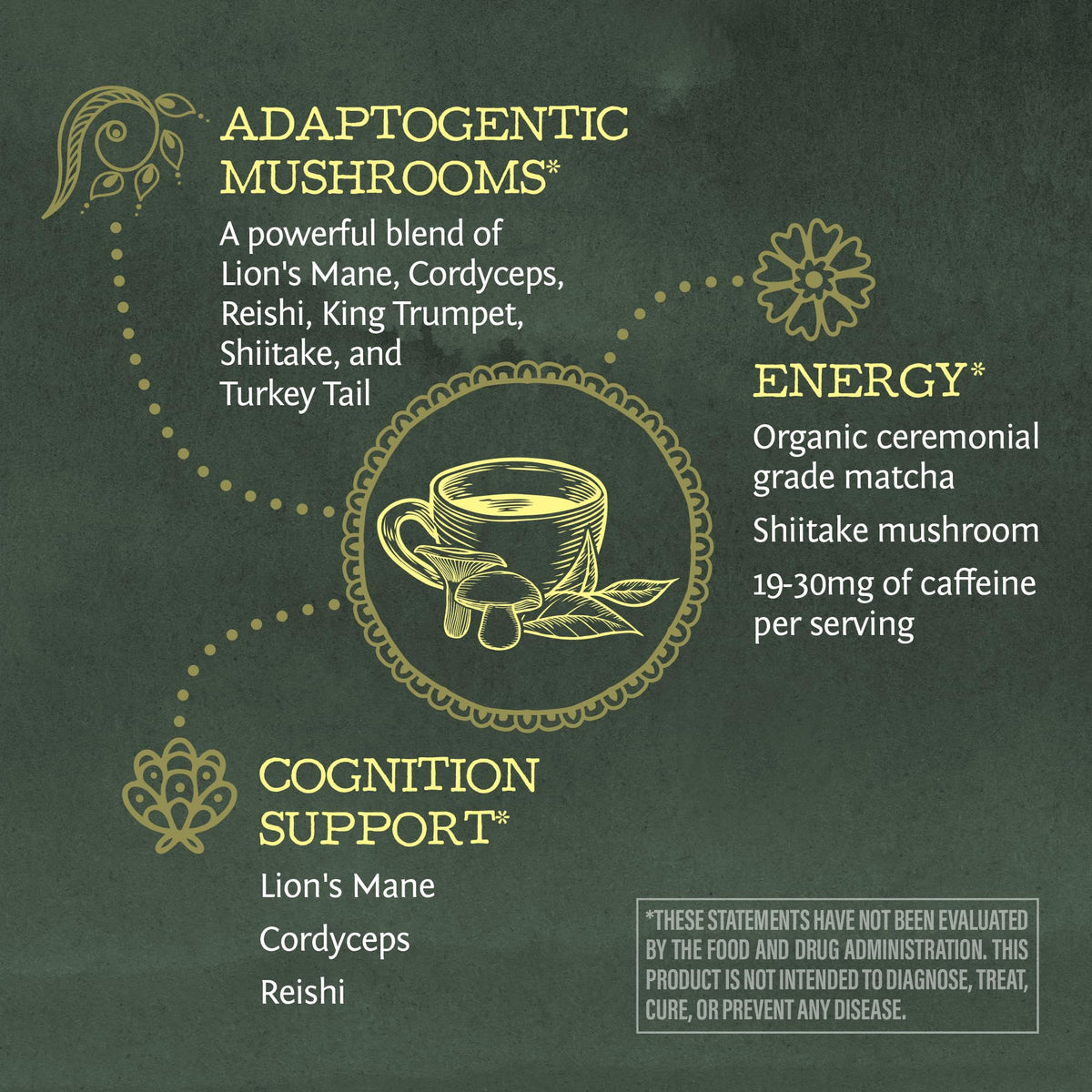 Préparation d'un latte glacé avec la poudre de champignon matcha