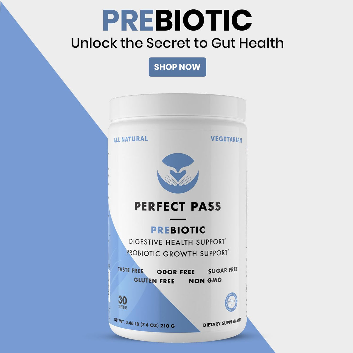 Préparation d'un smoothie avec la poudre de prébiotique PERFECT PASS