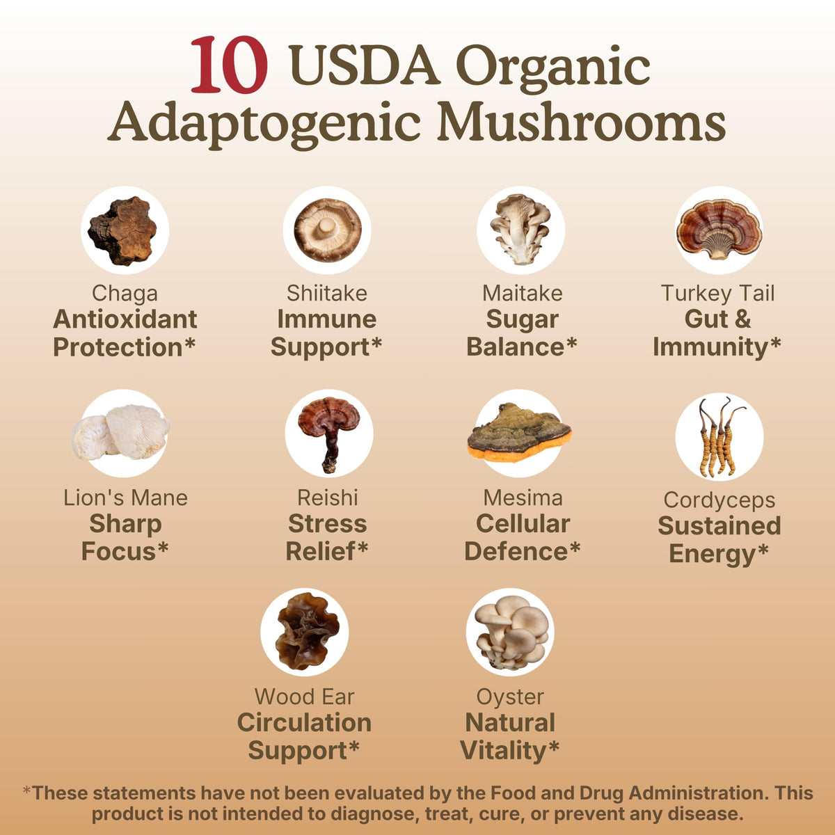 Préparation d'une boisson avec le supplément de champignons