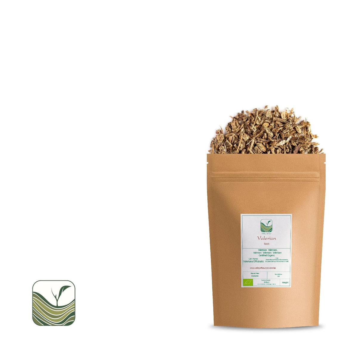 Préparation de l'infusion de racine de valériane dans une théière