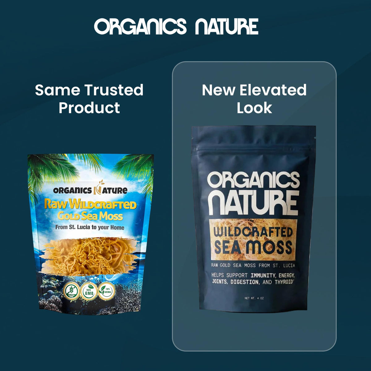 Préparation de la mousse de mer ORGANICS NATURE dans un mixeur