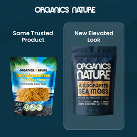 Préparation de la mousse de mer ORGANICS NATURE dans un mixeur