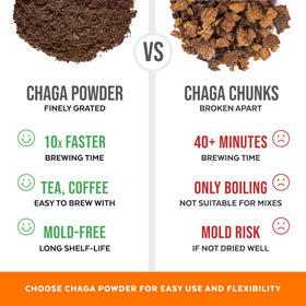 Préparation de thé Chaga avec poudre Numami