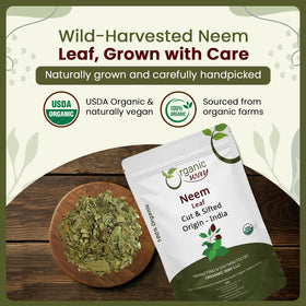 Préparation de thé herbal avec feuilles de neem Organic Way